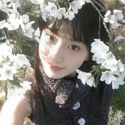 破晓之翼